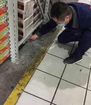 宿迁蟑螂防治